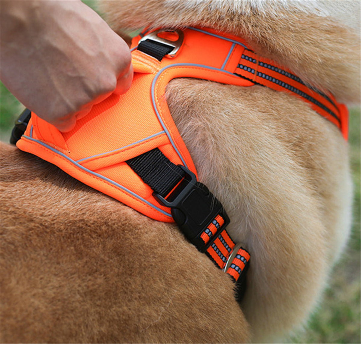 No-Pull Dog Harness with Control Handle